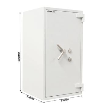 Rottner Wertschutzschrank EN4 Projekt 100 Fire Premium Doppelbartschloss lichtgrau T05949